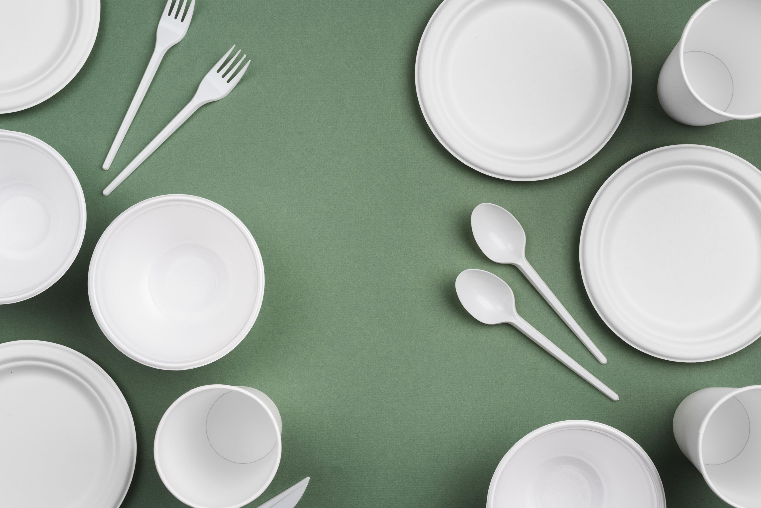 A Guide to Manufacturing Disposable Plates and Dishes – Nature Box