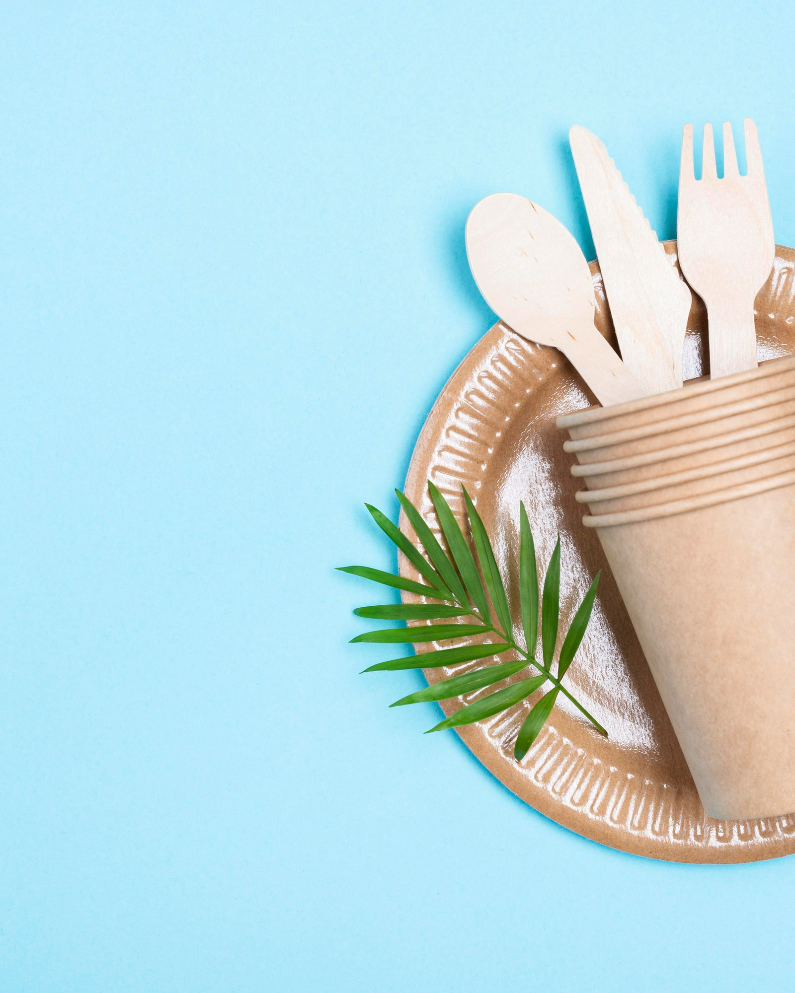 zero-waste-paper-cups-cutlery